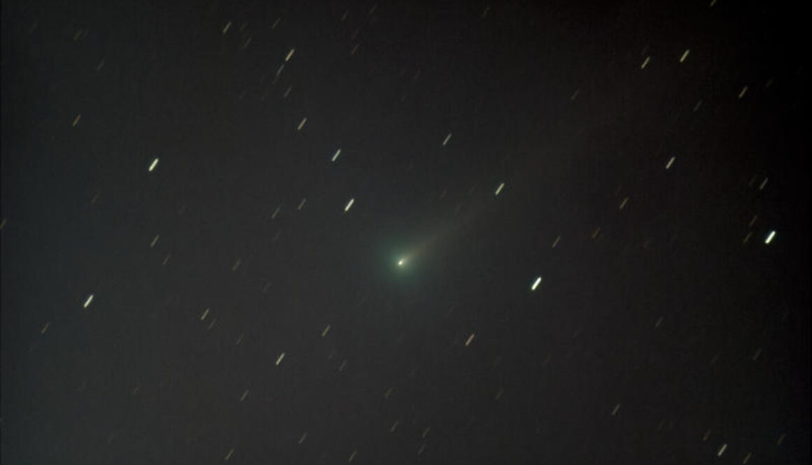 Comet Leonard (stacking 30s) and star trail