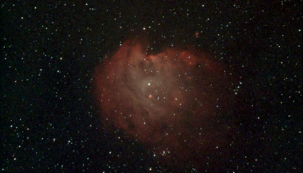 The Monkey Head Nebula (NGC 2174)