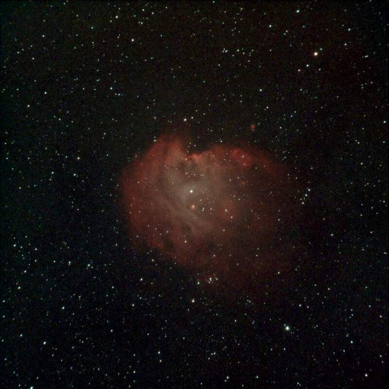 The Monkey Head Nebula (NGC 2174)