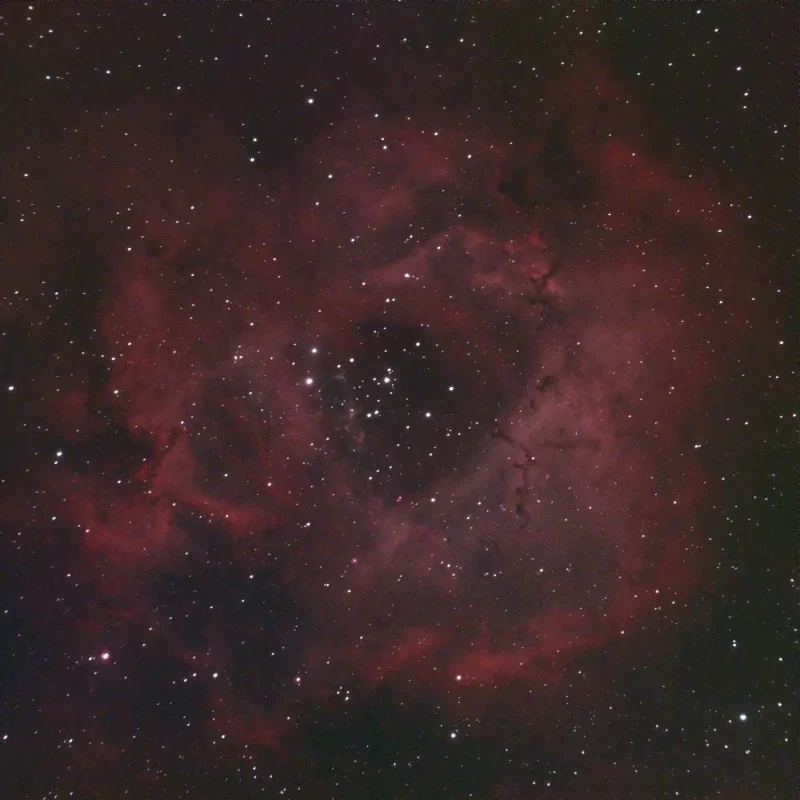 The Rosette Nebula