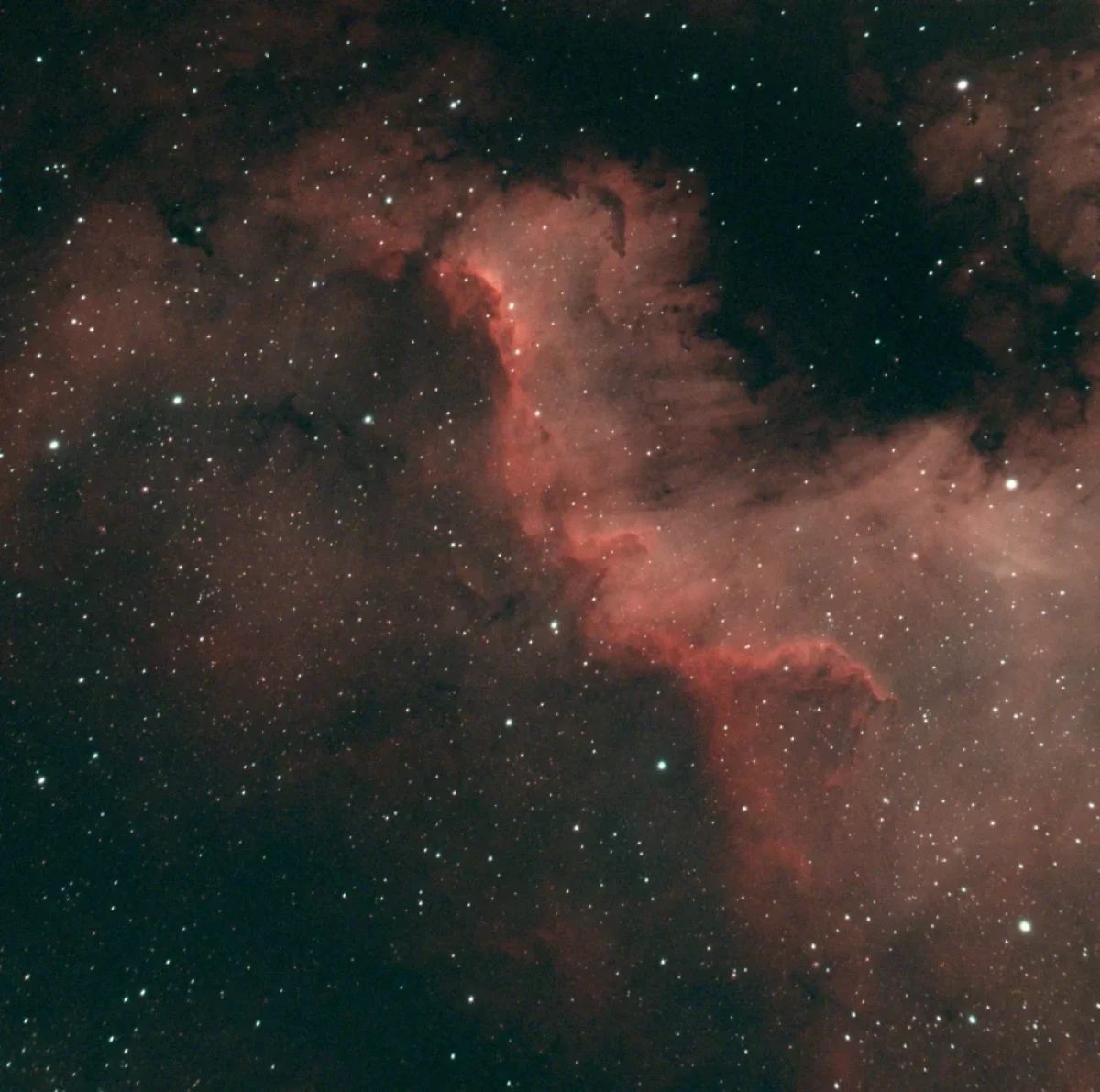 The North America Nebula (NGC 7000) with the stars and in its "starless" version