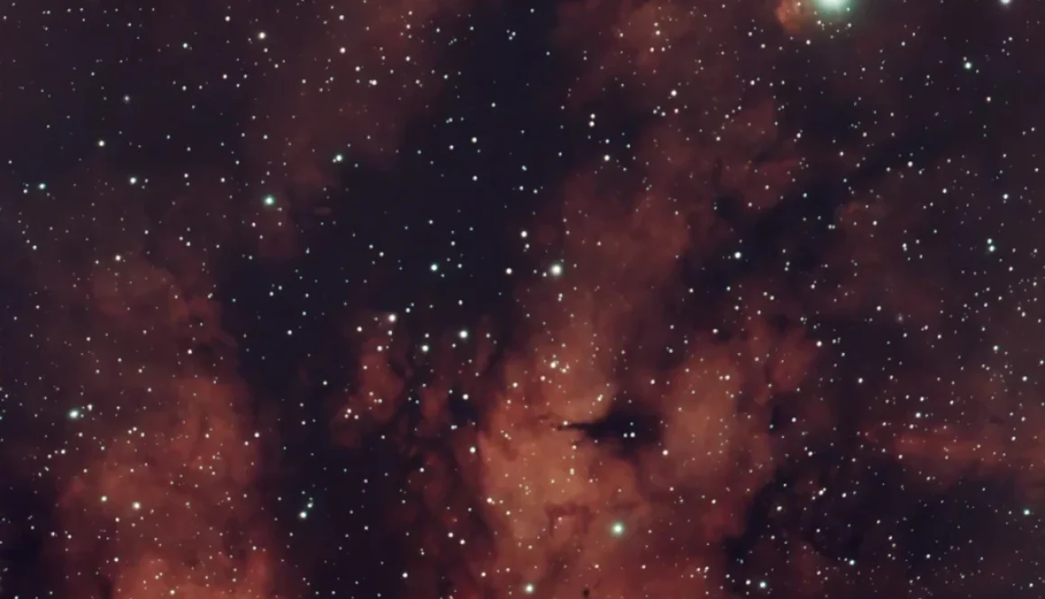 Sadr Region (IC1318 or Gamma Cygni Nebula)