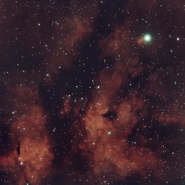 Sadr Region (IC1318 or Gamma Cygni Nebula)