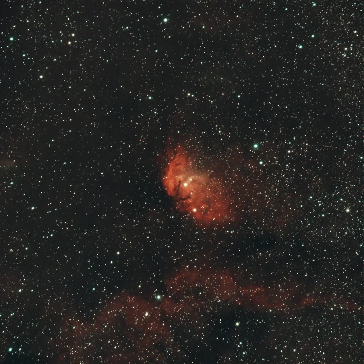 Scroll the slider to switch between the images of the Tulip Nebula and the annotated image that indicates where HD226868 and its companion, the first black hole candidate Cygnus X-1, are located