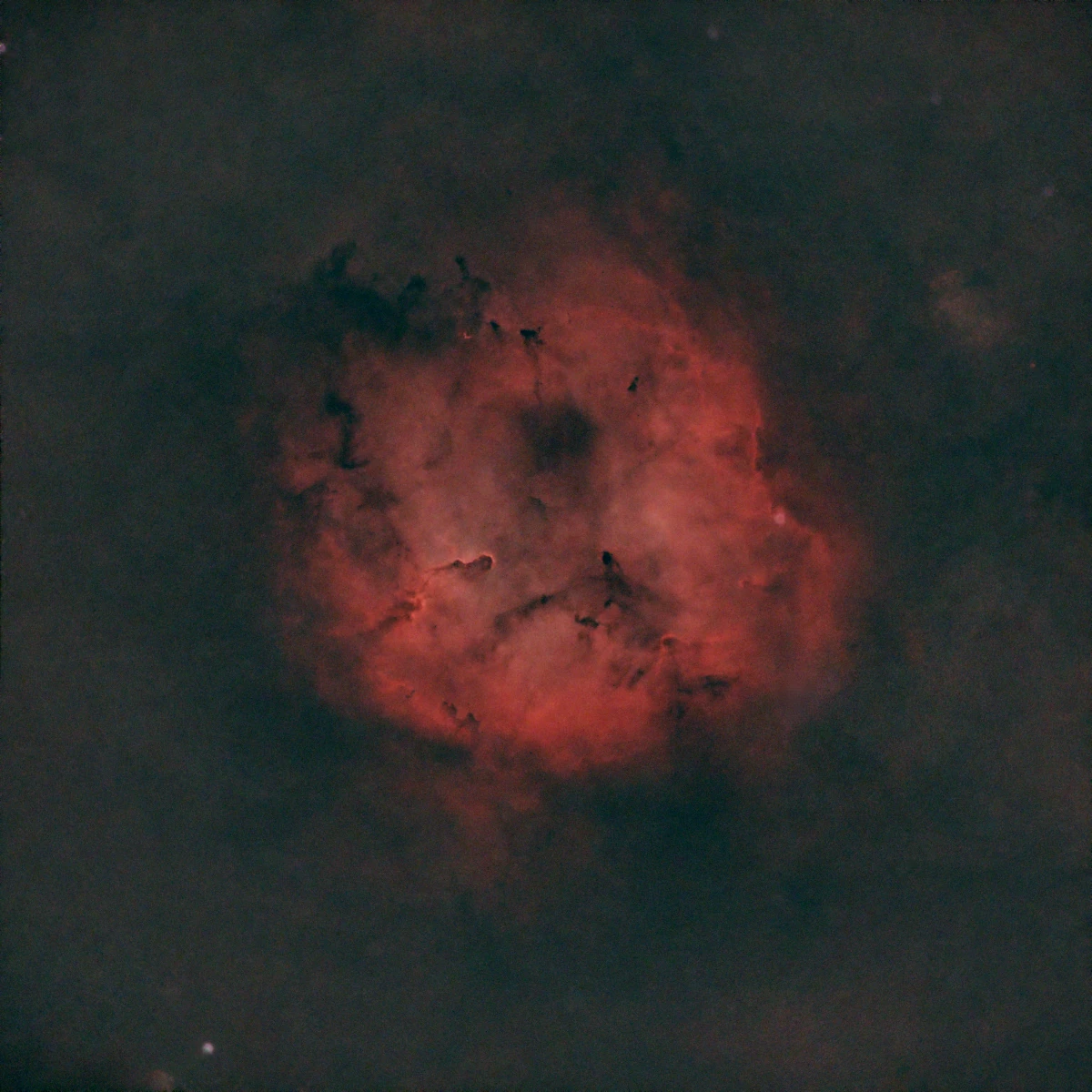 The Elephant's Trunk Nebula (IC 1396) - starless