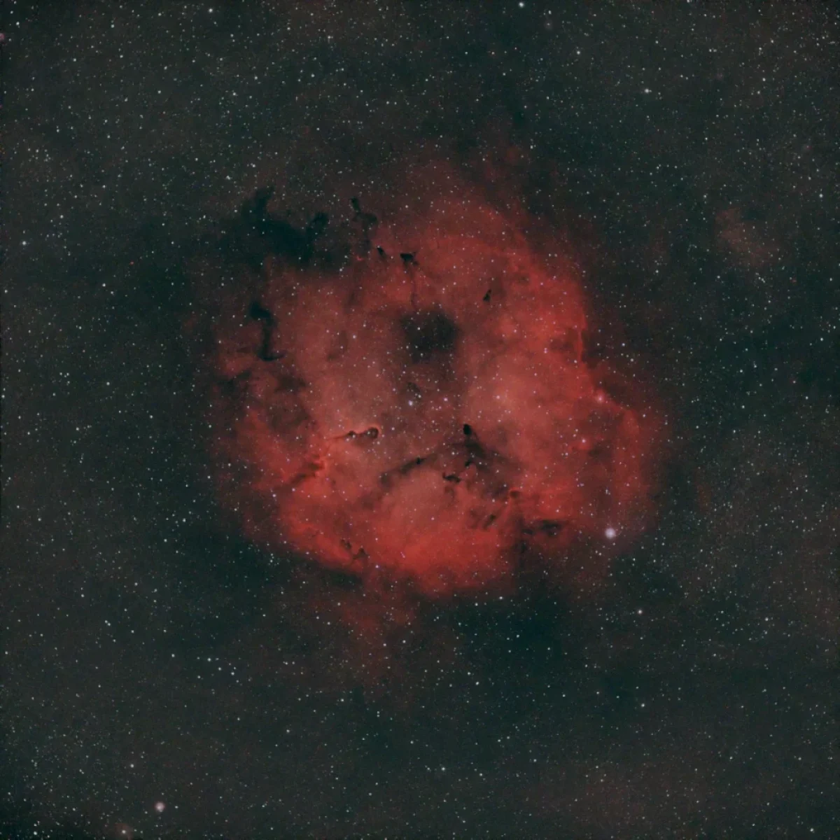 Scroll the slider to switch between the images of the Elephant's Trunk Nebula and its starless version