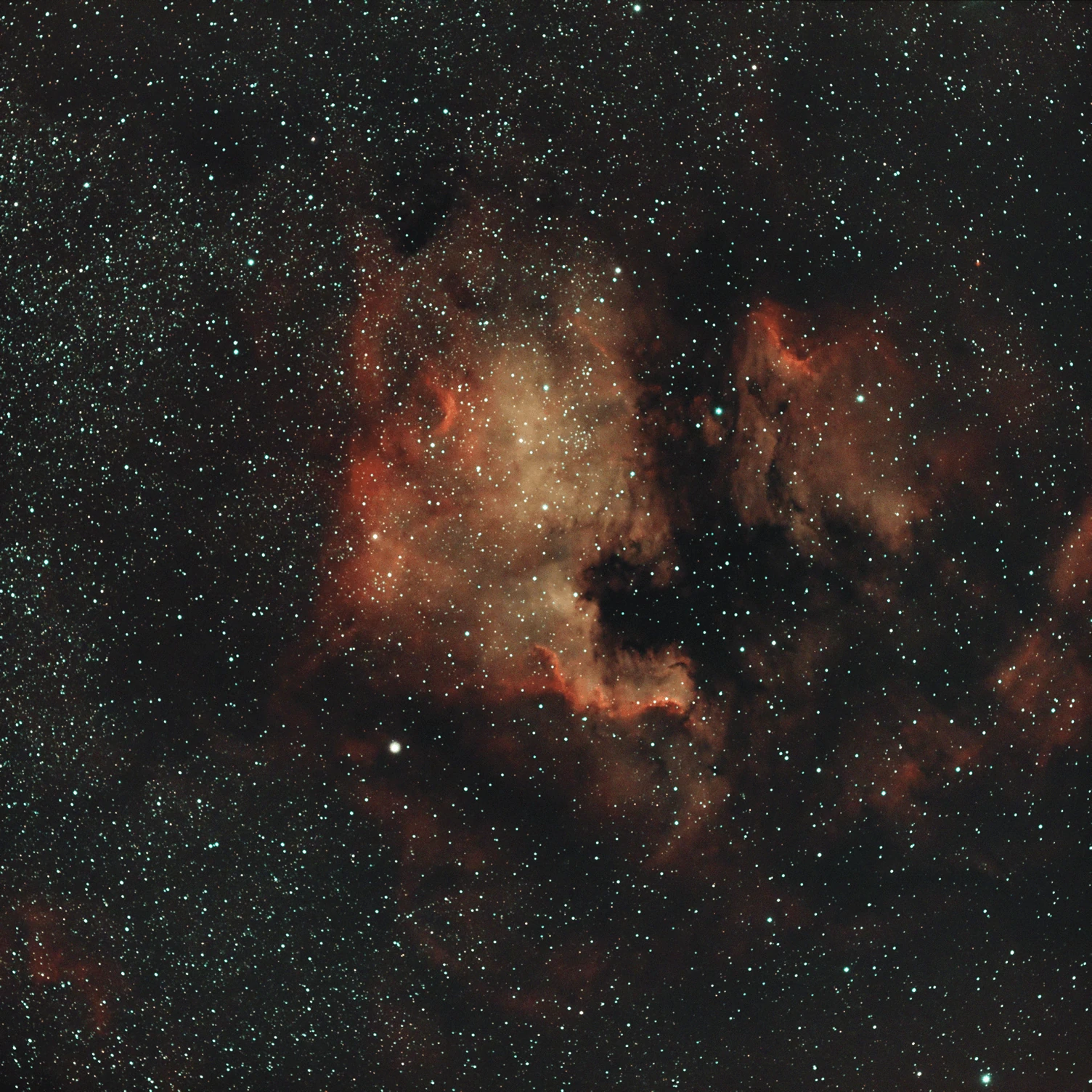 NGC 7000 with Rokinon 135mm, ZWO ASI533MC PRO and Optolong L-eXtreme 2"