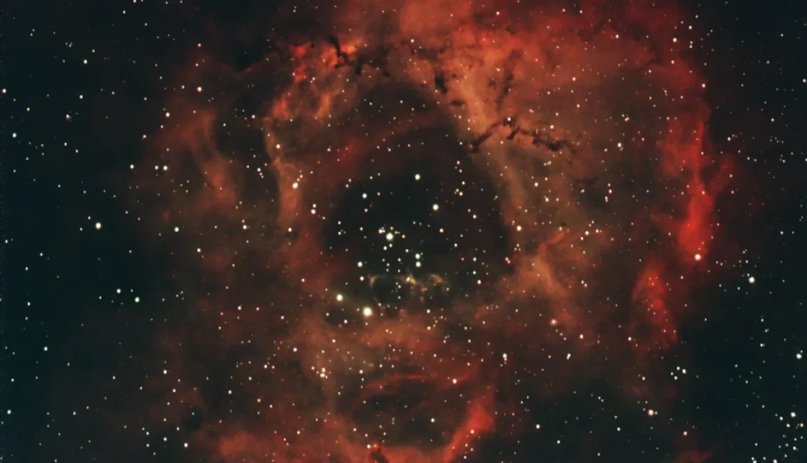 Rosette Nebula in Narrowband (2022-11-26)