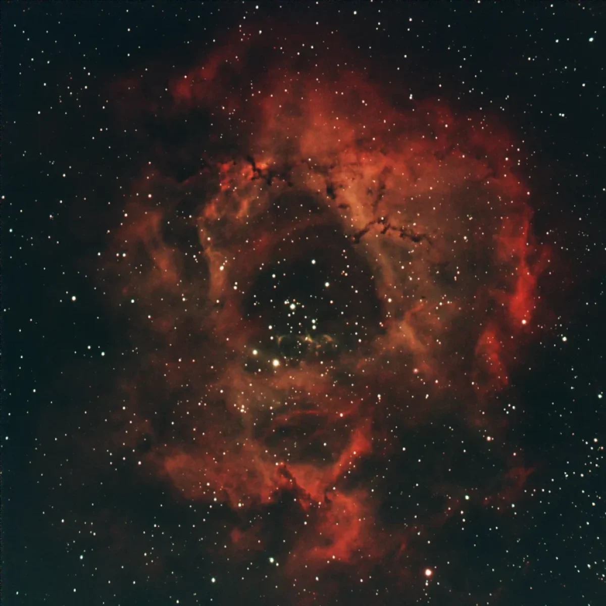 Scroll the slider to switch between the images of the Rosette Nebula and its starless version