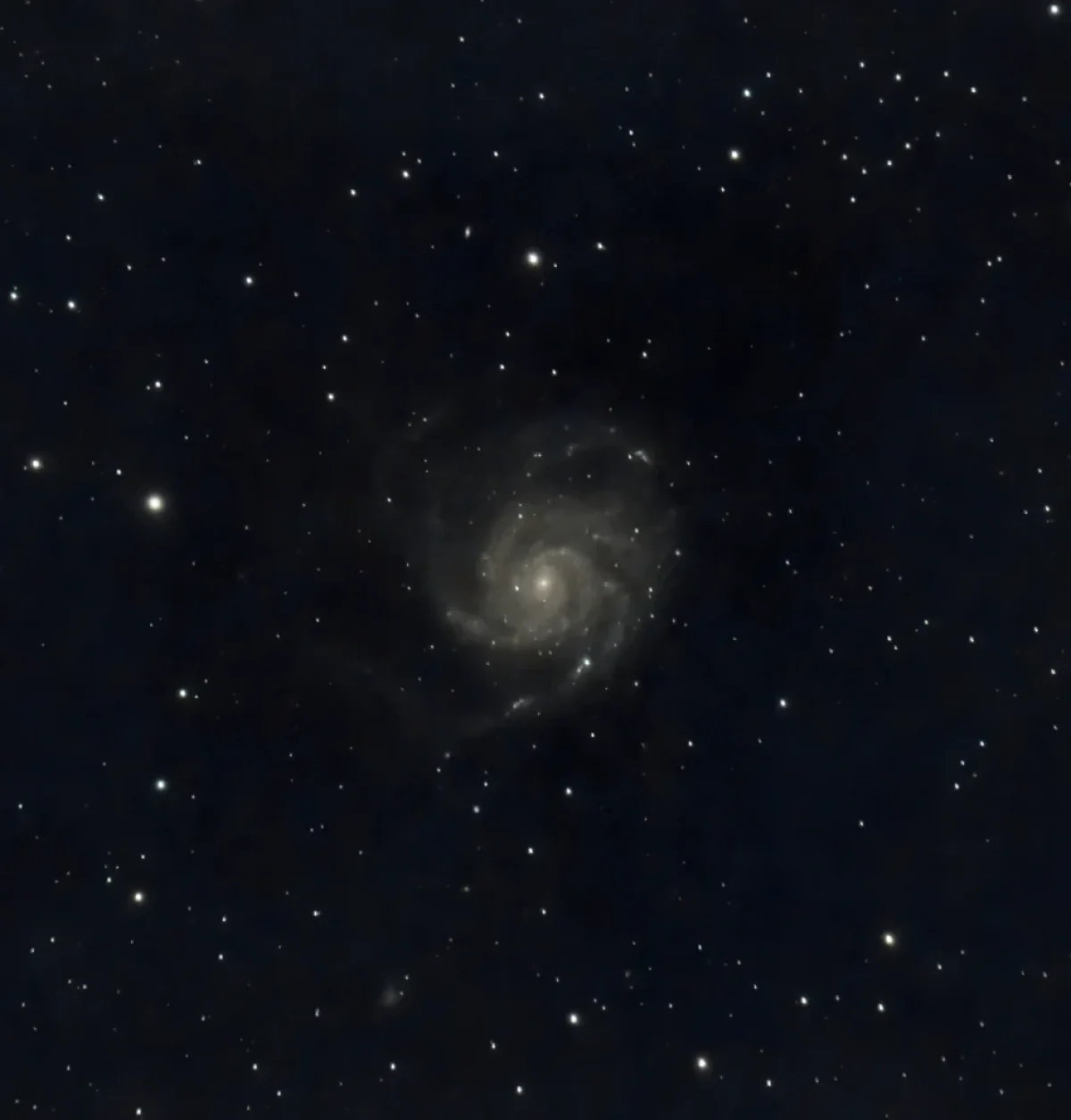 Scroll the slider to switch between the images of M101 with SN 2023ixf and its version with the label