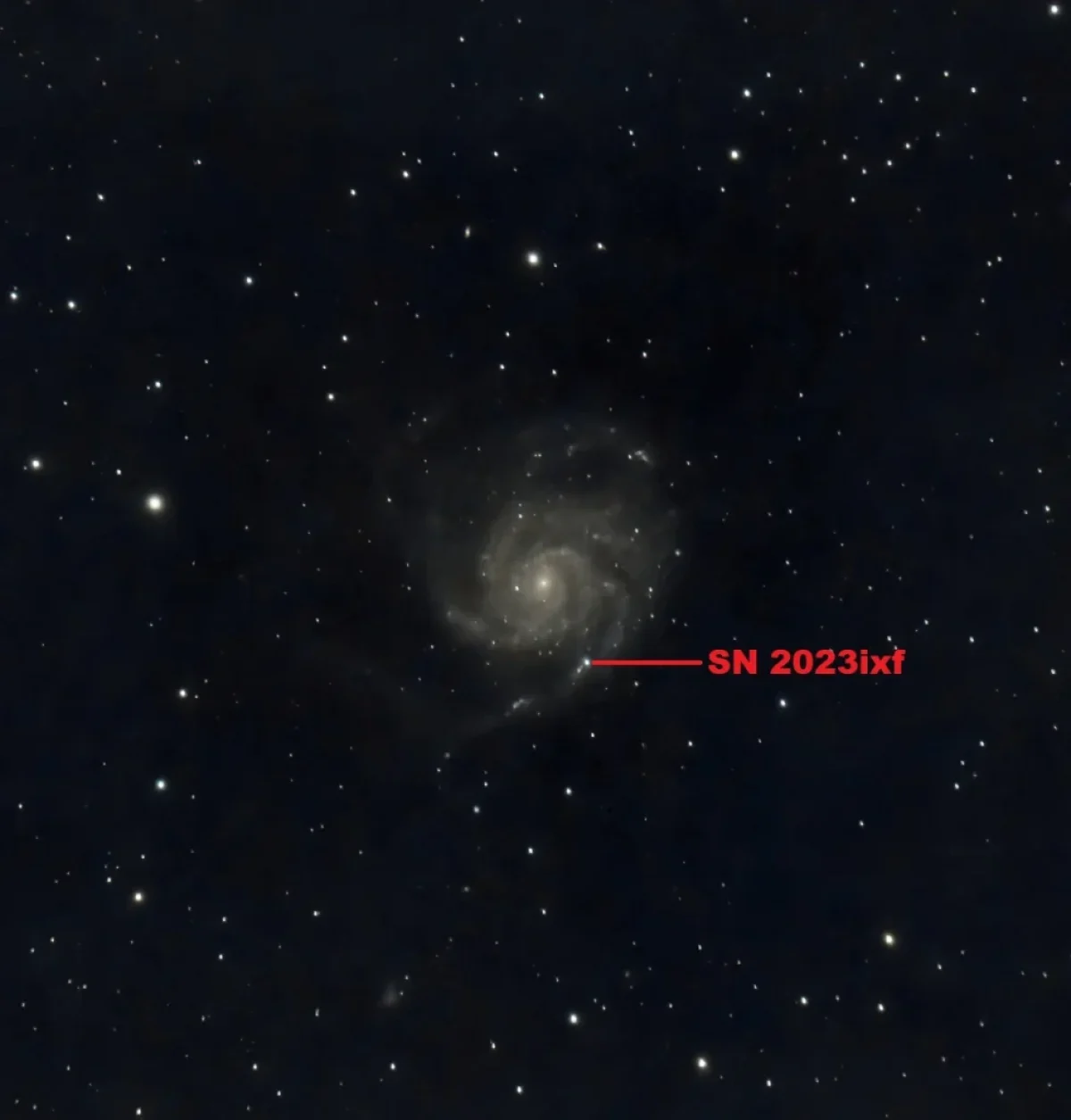 Scroll the slider to switch between the images of M101 with SN 2023ixf and its version with the label