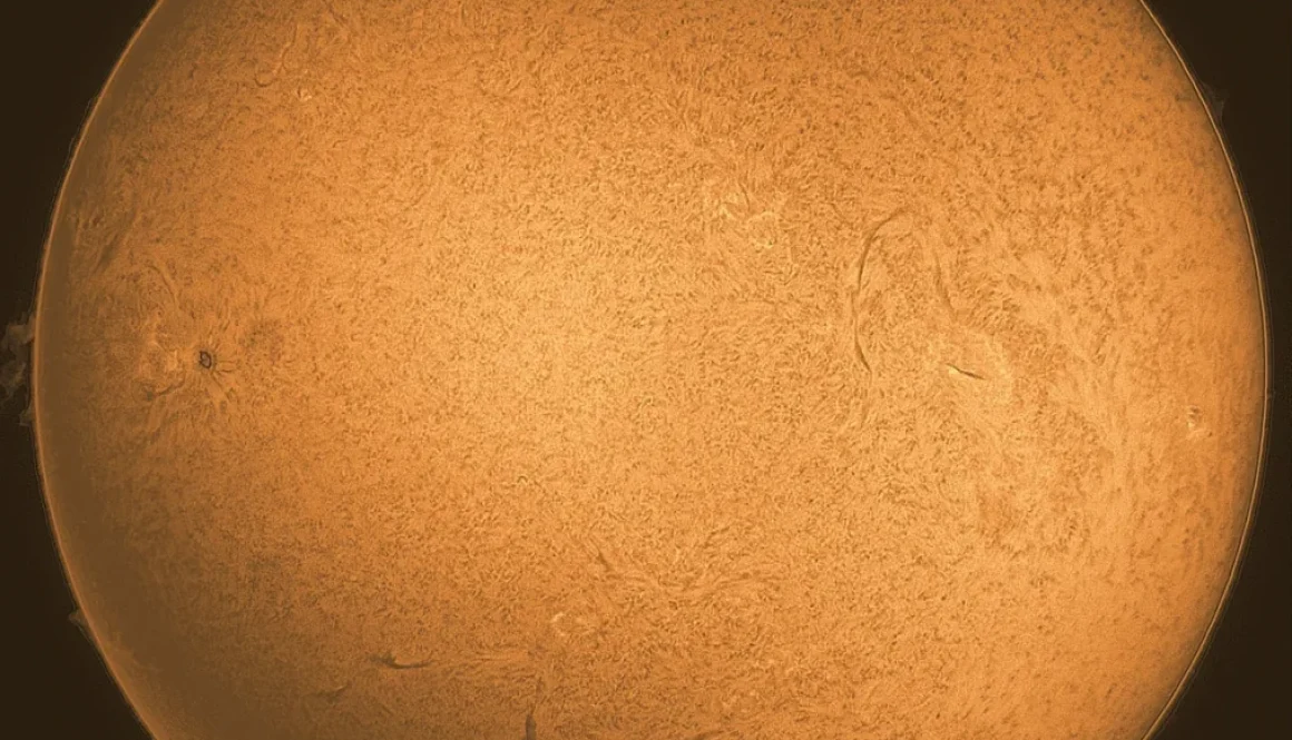 The Sun in H-Alpha (2023-11-03)