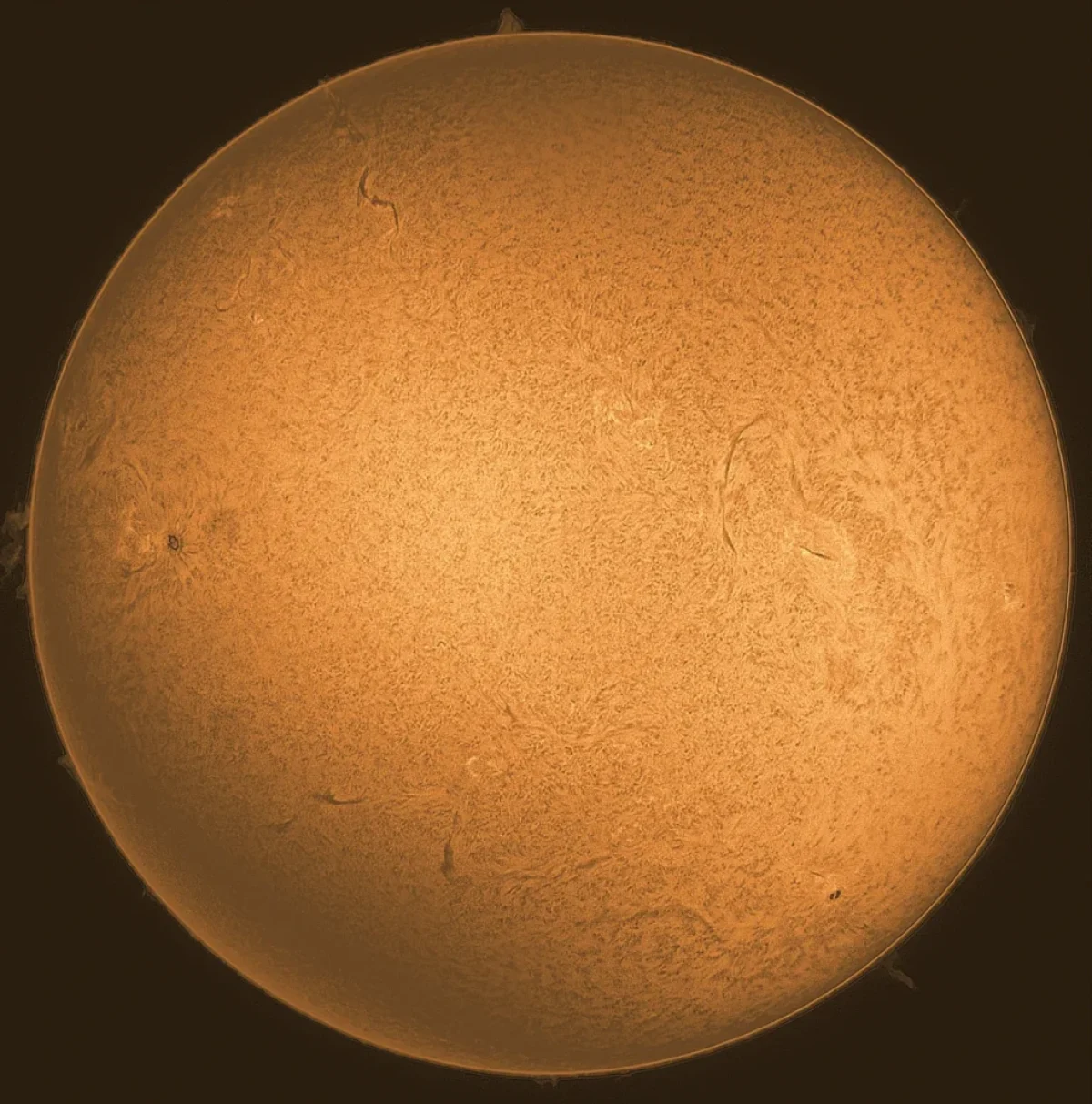 The Sun in H-Alpha (2023-11-03)