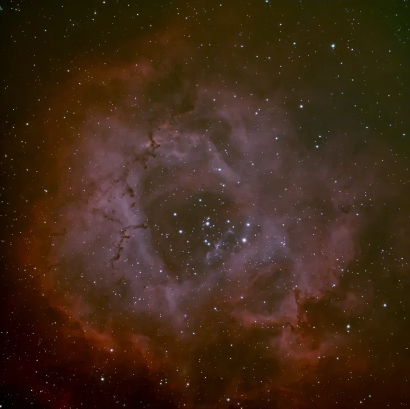 The Rosette Nebula (2024-02-12)