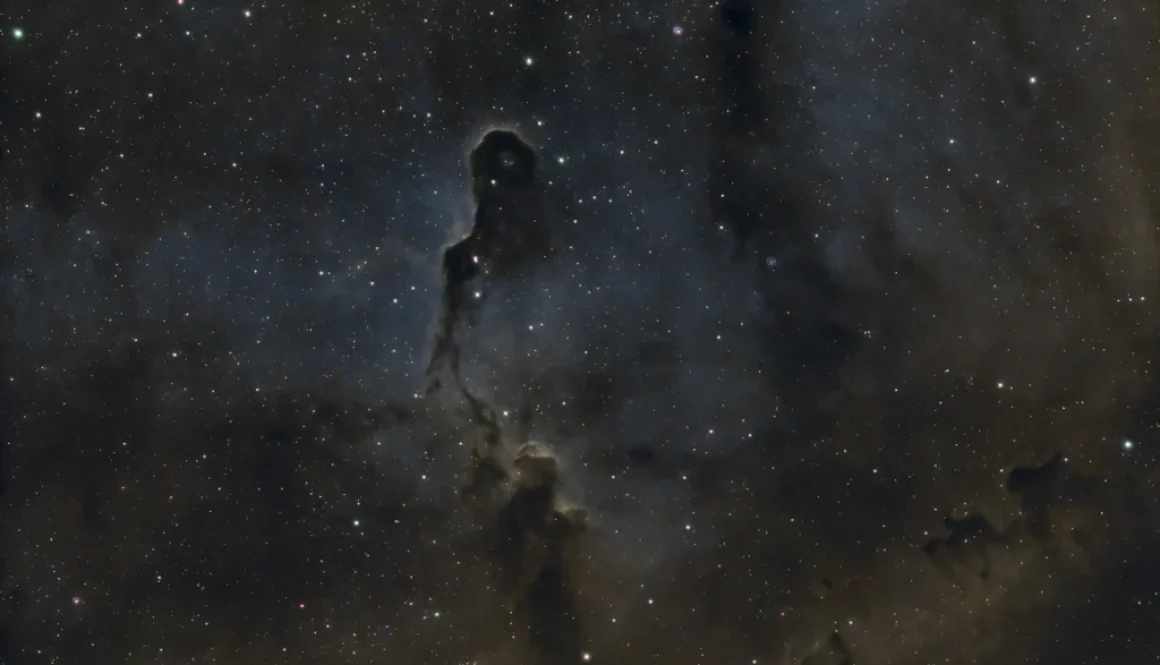 The Elephant's Trunk Nebula (IC1396) with HOO palette - 2024-09-02