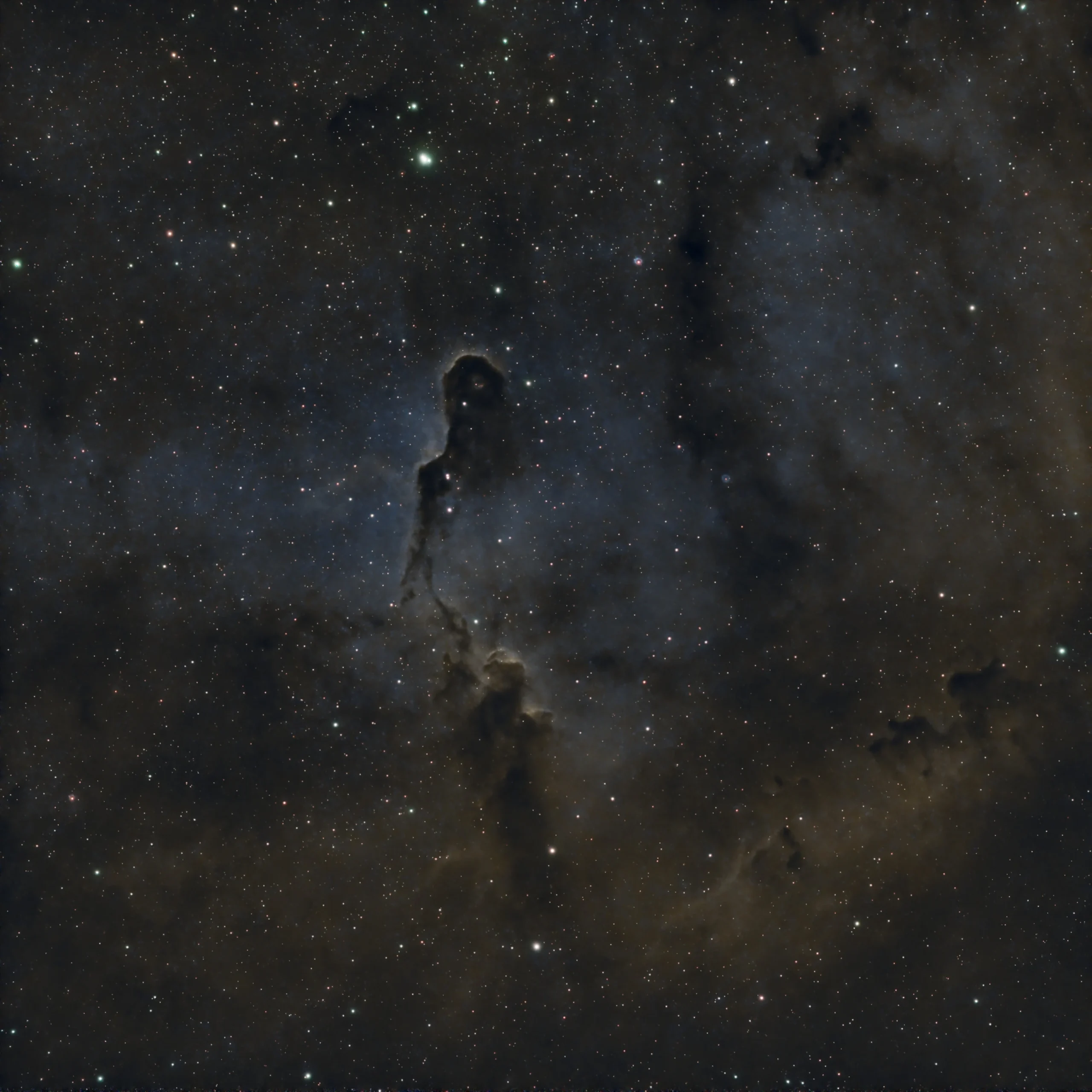 The Elephant's Trunk Nebula (IC1396) with HOO palette - 2024-09-02