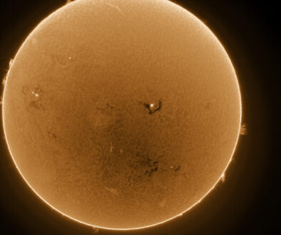 Sun H-Alpha (2024-08-13 17:16 UT) inverted and colorized with imPPG